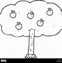 Image result for Apple Tree Clip Art Black and White