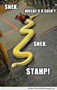Image result for Nope Snake Meme