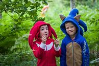Image result for Knuckles the Echidna Costume