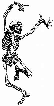 Image result for Skeleton Figure Statue Funny