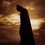 Image result for Batman Begins iPhone Wallpaper