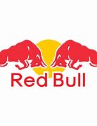 Image result for F1 Red Bull Pilots