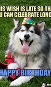 Image result for Belated Birthday Dog