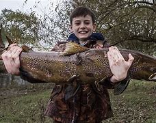 Image result for Best Catches River Severn
