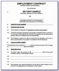 Image result for Standard Employment Contract South Africa Template