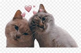 Image result for Two Partner Cat. Emoji