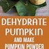 Image result for Dehydrated Pumpkin
