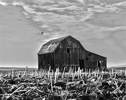 Image result for Black and White Farm Picture Header