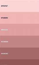 Image result for Rose Gold Pink Palette Color