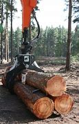 Image result for Forestry Machines Bogged