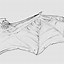 Image result for Folded Bird Wing Anatomy