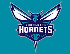 Image result for Charlotte Hornets Basketball Team