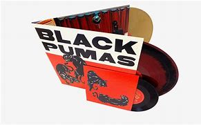 Image result for Black Pumas Album Cover
