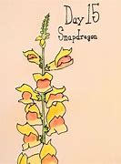 Image result for Snapdragon Flower Drawing