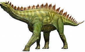 Image result for Wild Safari Stegosaurus
