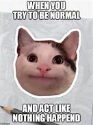 Image result for Kitten New Normal Meme
