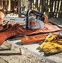 Image result for Arbor Chainsaw