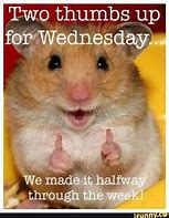 Image result for Happy Wednesday Day Meme