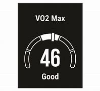 Image result for VO2 Max Circular Graph