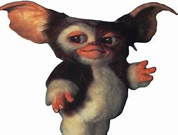 Image result for Gizmo PNG