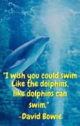 Image result for Dolphin Insprational Quotes