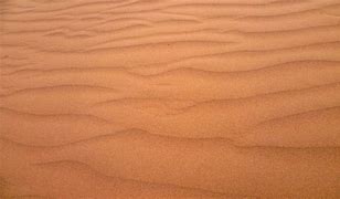 Image result for Shanxi China Sand Wood