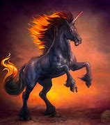 Image result for Unicorn Horse