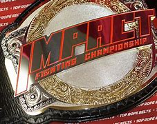 Image result for MMA Belt