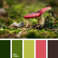 Image result for RAL 6005 Moss Green
