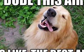 Image result for Well Done Animal Meme