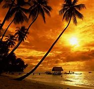 Image result for Cool Beach Photos