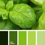 Image result for Green Color Scheme with Orange and Cyan