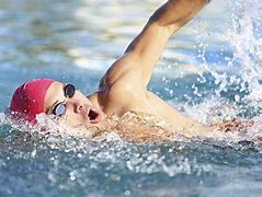 Image result for Swimming Laps Exercise