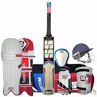 Image result for SS Cricket Bat Ball