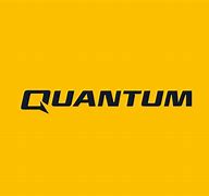 Image result for Quantum V Logo