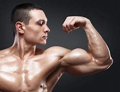 Image result for Wide Arm Pull Up Muscles