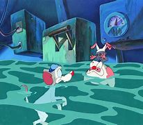 Image result for Animaniacs Pinky and the Brain