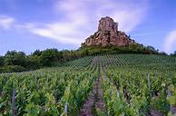 Image result for Evening+Land+Pouilly+Fuisse