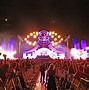 Image result for Electric Zoo Festival