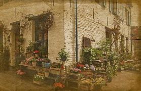 Image result for Old Flower Shop