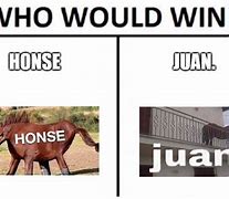 Image result for juan horse meme