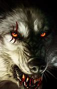 Image result for Red-Eyed Wolf Scary