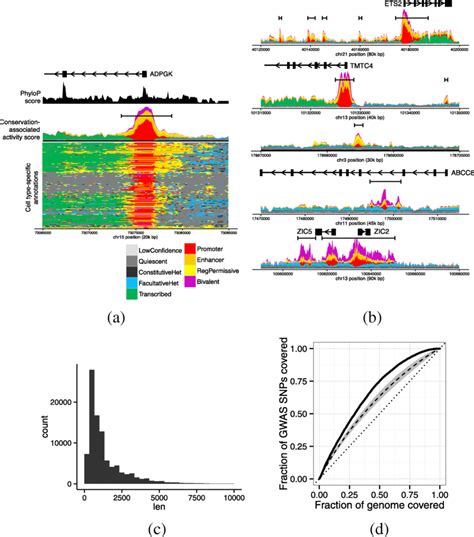 Image result for Stratified Random Sampling Example On Research