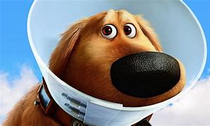 Image result for Pixar Dog
