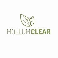 Image result for Stages of Molluscum