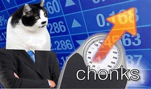 Image result for Chonker Cat Meme