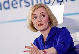 Image result for Liz Truss Green Dress