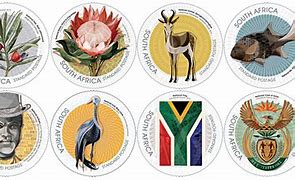 Image result for National Symbols of South Africa Pictures
