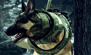 Image result for Call of Duty Ghost Riley Dog