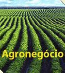 Image result for agroado